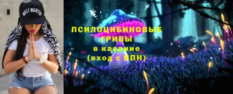 Галлюциногенные грибы Magic Shrooms  Сим 